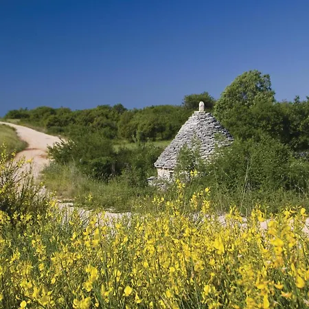 Lovely In With Kitchen Holiday home *